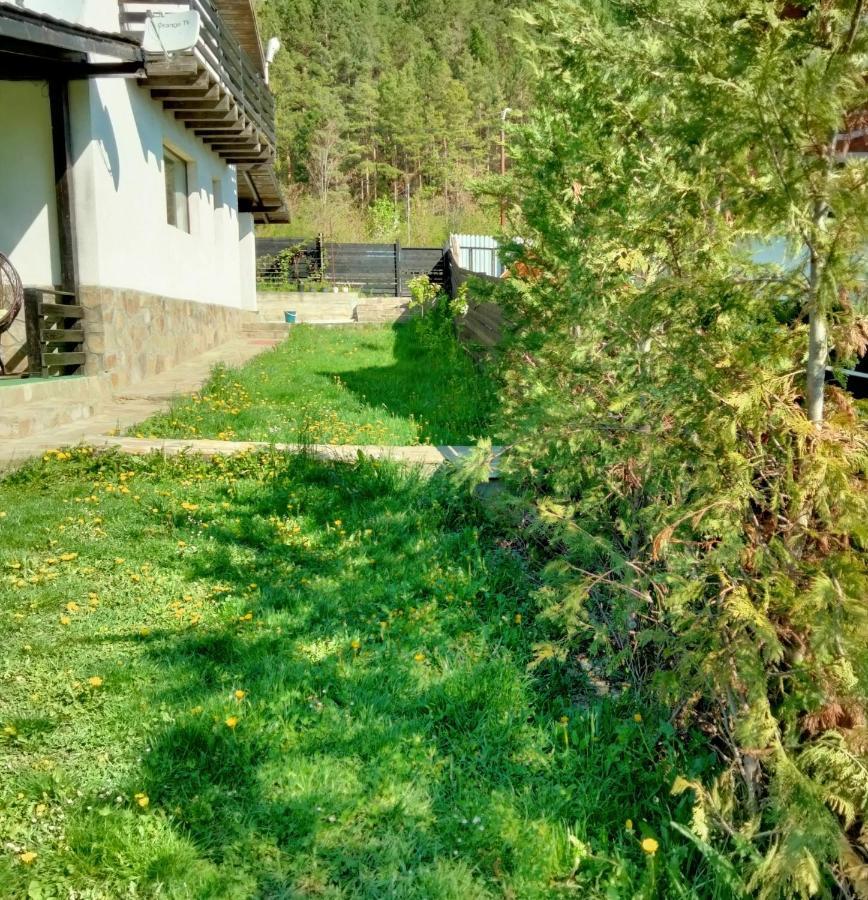 Vila Roxana Pangarati Exteriör bild